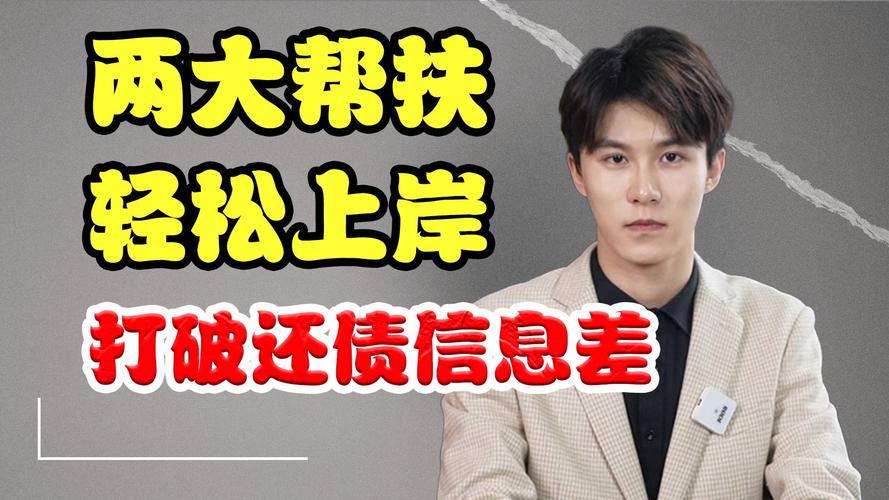 暂停债务偿还怎么办