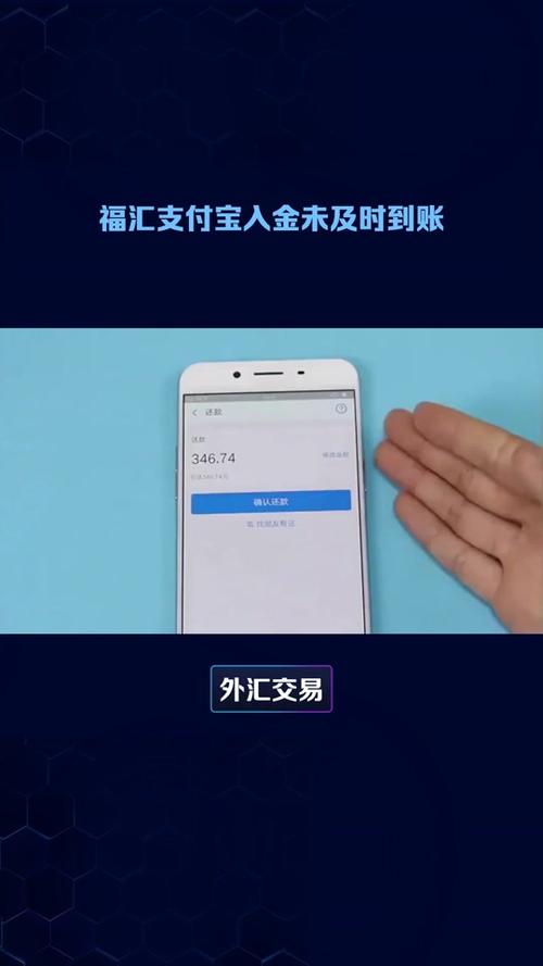 支付宝资金冻结7天后延迟结算怎么办