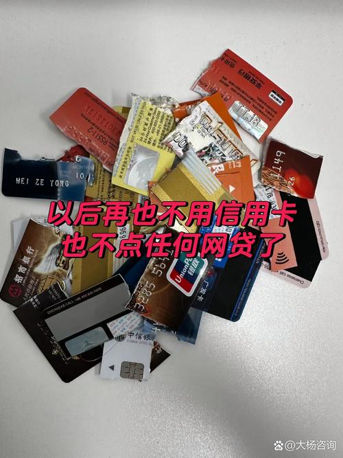 网贷信用卡欠十几万怎么办？