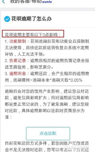 网商贷逾期延期最新政策对花呗使用有什么影响吗？