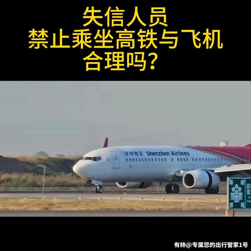 失信人员乘坐飞机高铁的规定及处罚规定
