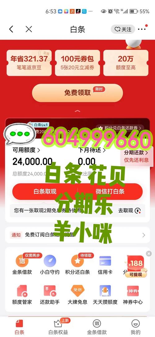 怎么看白条帮还了多少钱的详细步骤