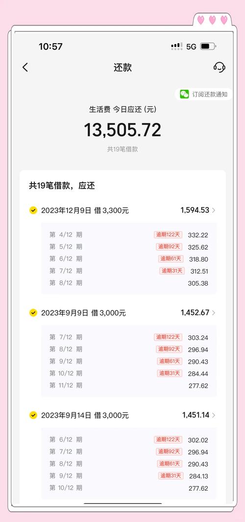贷款中有一笔显示逾期没有部分还款记录