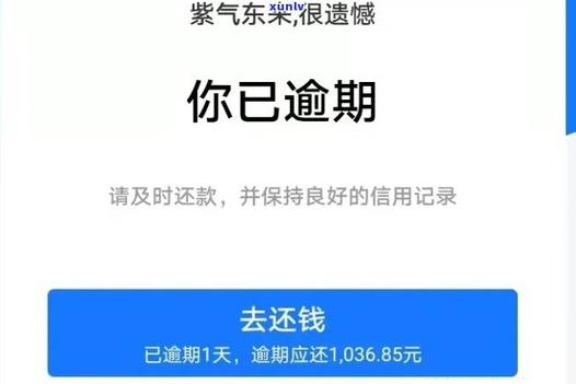 过了三天宽限期逾期1天会有什么影响？