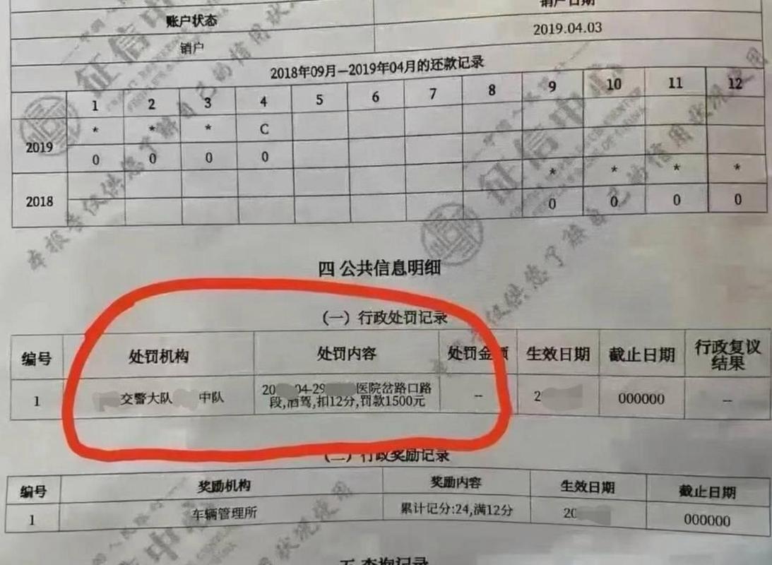 征信报告有个民事诉讼是啥意思