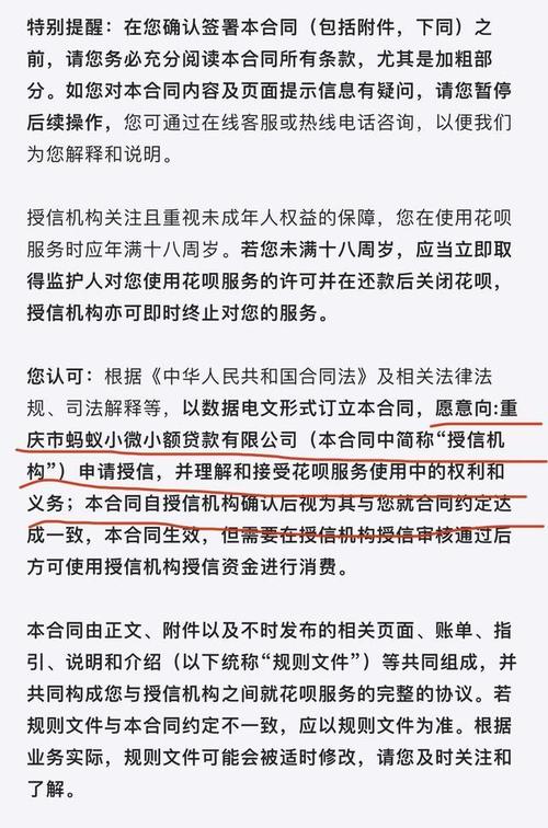 借呗重庆南岸法院起诉需要注意哪些事项