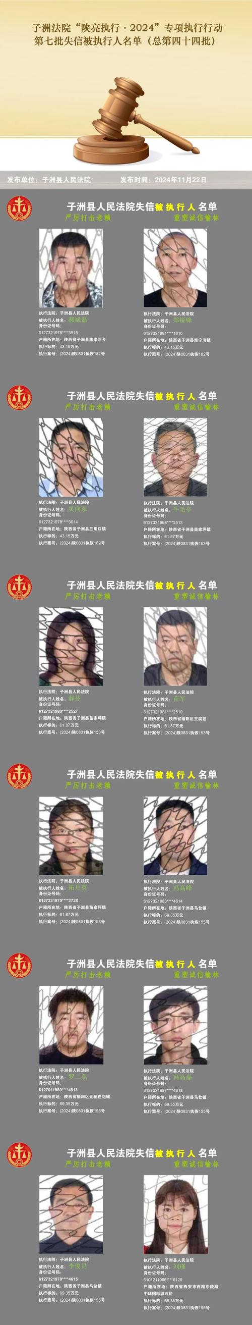 2024年法院起诉负债人