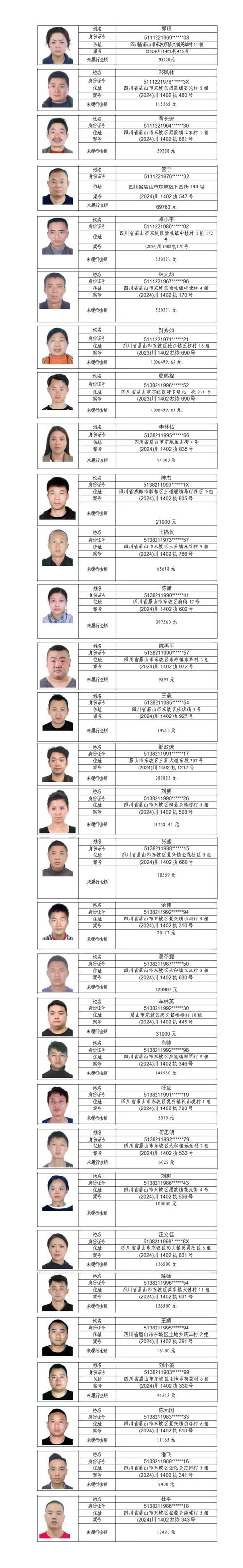 2024年法院起诉负债人