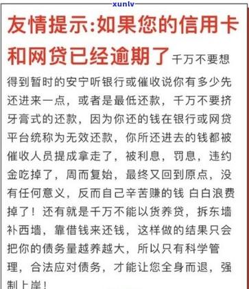沈阳网贷欠100多万怎么办？