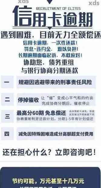 法律逾期处理规定最新解读与应对策略