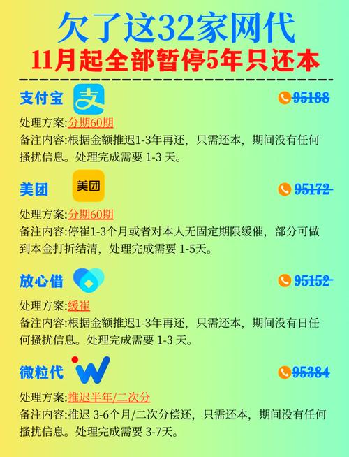 暂停还款政策是什么样的规定