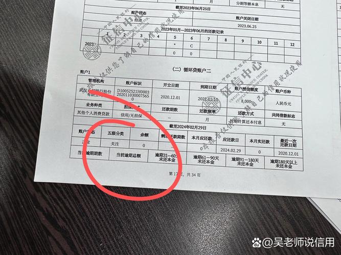 信贷逾期政策分类标准是什么？