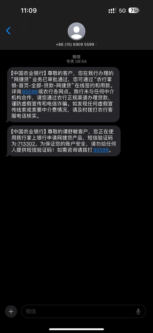 消费分期是什么贷款,今天发短信说立案的相关问题解答