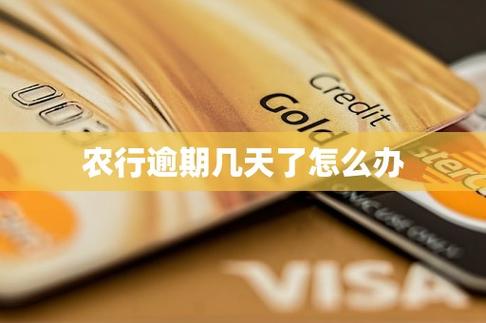 农行贷款逾期了最晚多久去办理续贷
