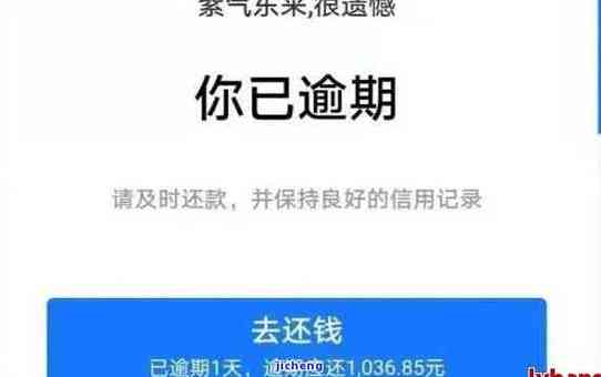 花呗有一天逾期怎么办？如何处理逾期问题