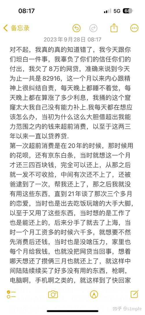 欠网贷20万怎么坦白才好