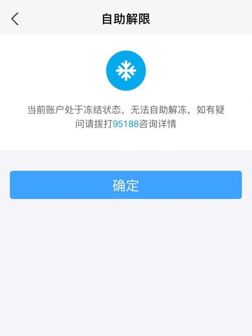 支付宝大额额两千两万元被冻结