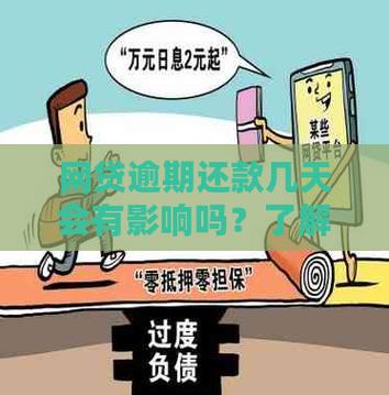网贷追债狠, 负债逾期应该如何谨慎应对