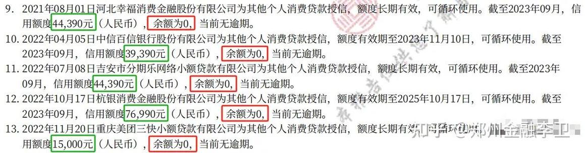大额网贷逾期还清后两年后能贷款吗？需要注意哪些事项？