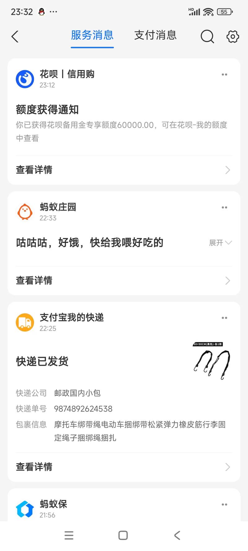 支付宝备用金500逾期一个月会有什么后果？
