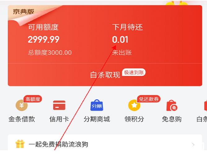 白条分24期可以提前还款么？具体流程是什么？