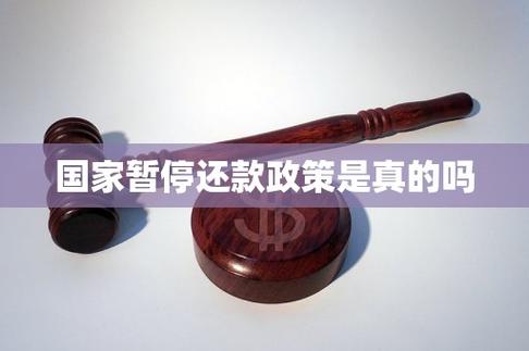 暂停还款政策是真的吗