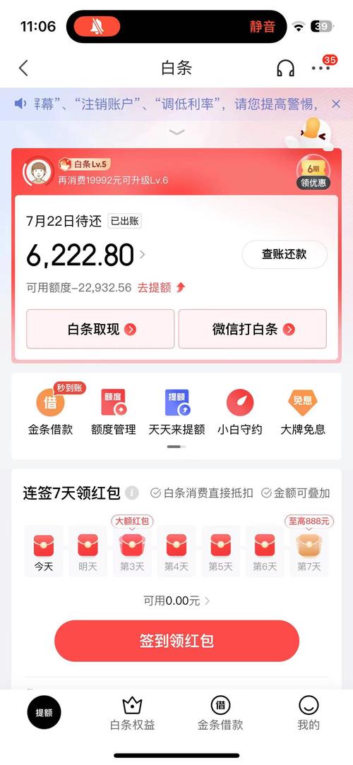 京东白条逾期2天