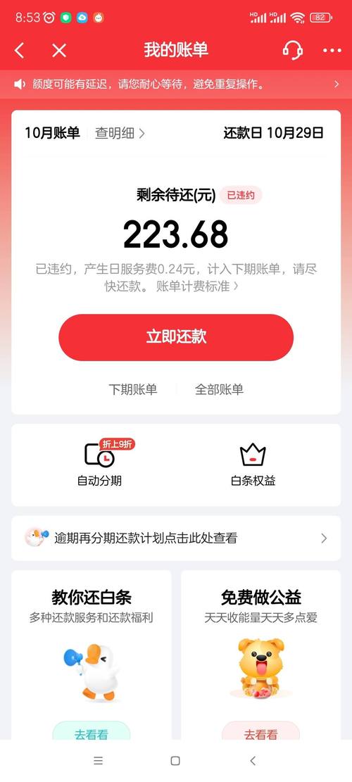 京东白条逾期2天