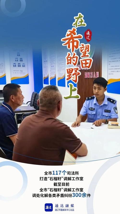 渤海云调解是什么以及它的作用是什么