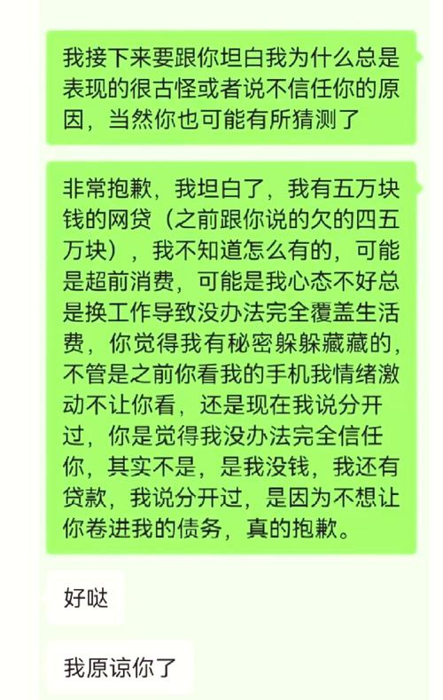 欠网贷找家人坦白怎么处理