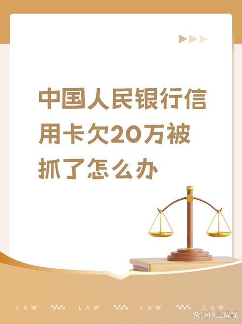 信用卡欠款二十一万怎么办？