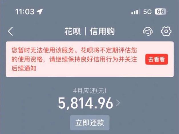 在花呗借钱不还会面临什么后果？