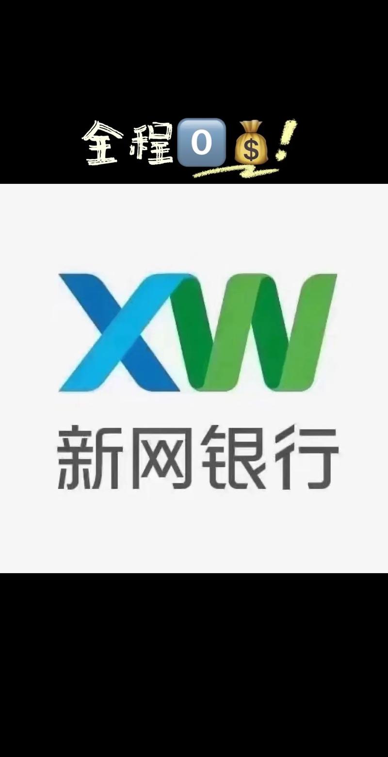 新网银行是哪个贷款公司