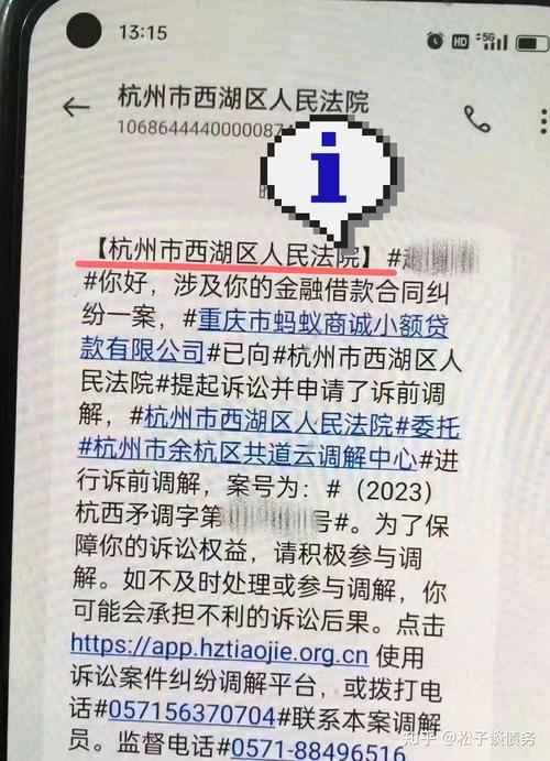 支付宝起诉到法院亲属要去吗