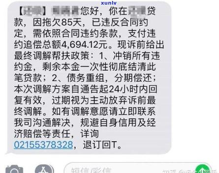 十一万的车贷和十五万的网贷怎么处理?