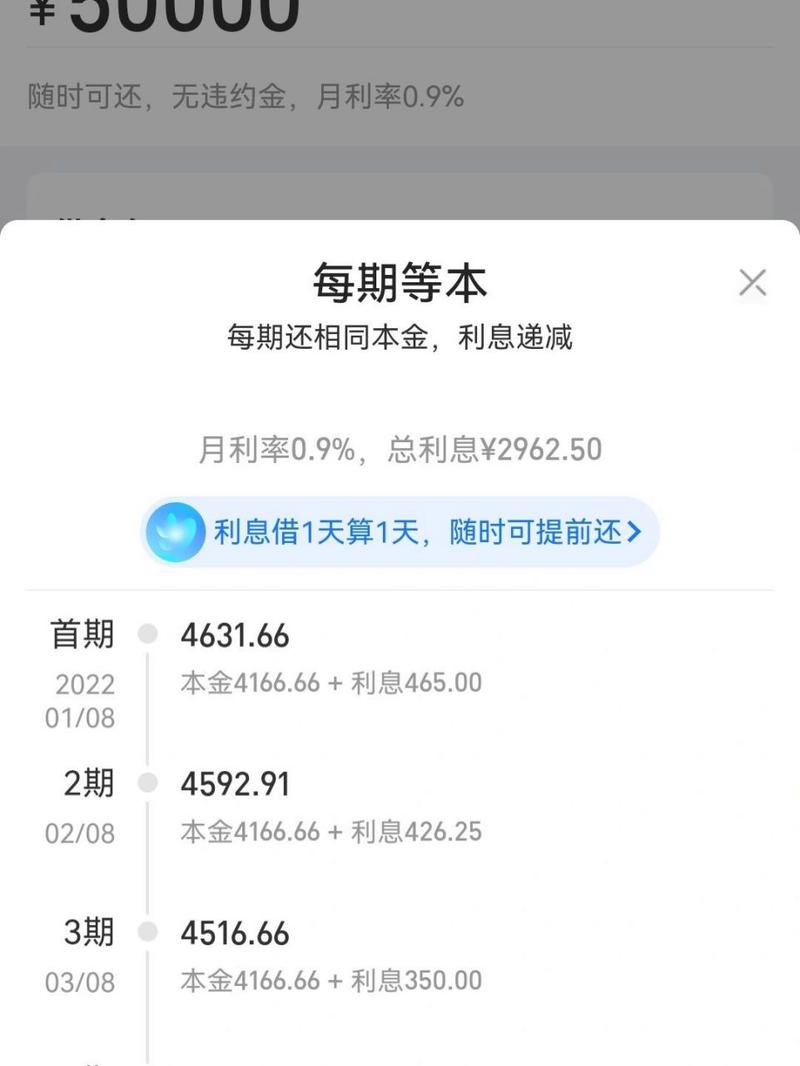 支付宝网商贷欠十几万怎么办？