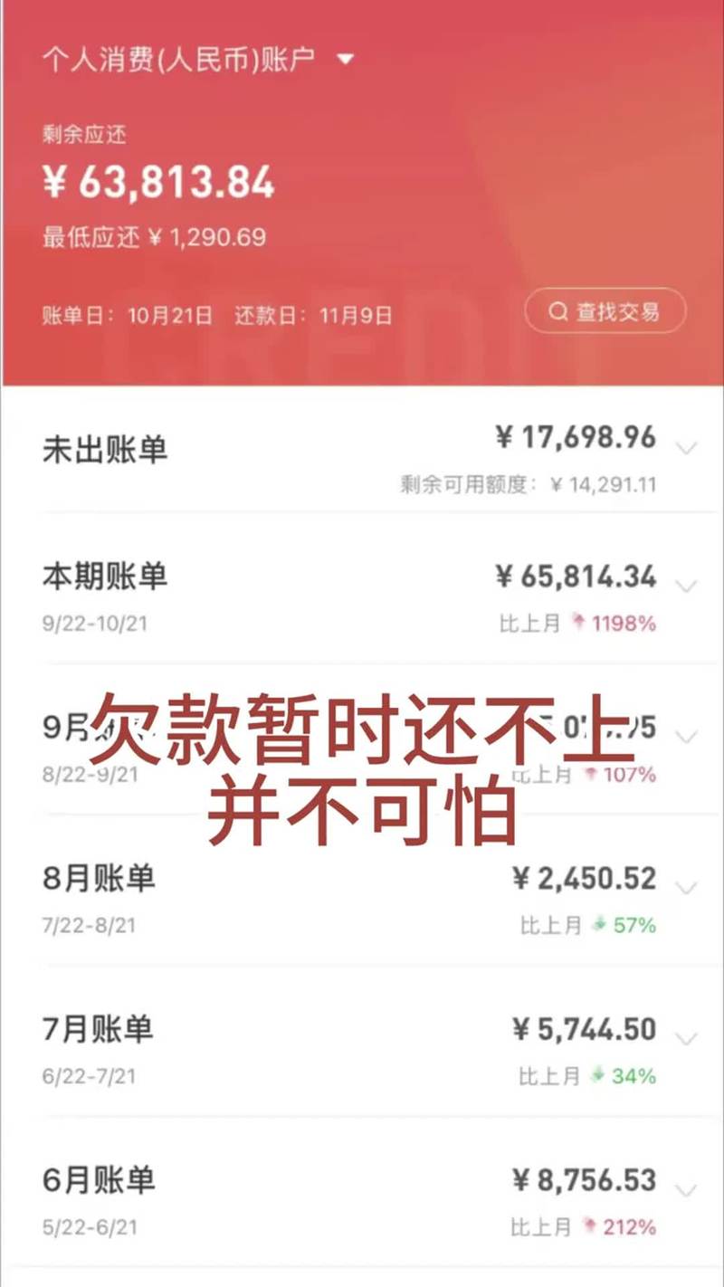 欠网贷信用卡六十多万怎么办？