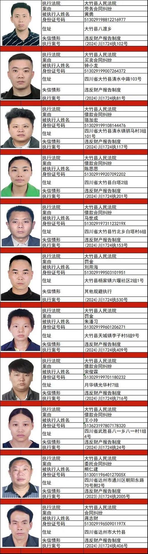 全国失信人员有多少人2024年最新数据