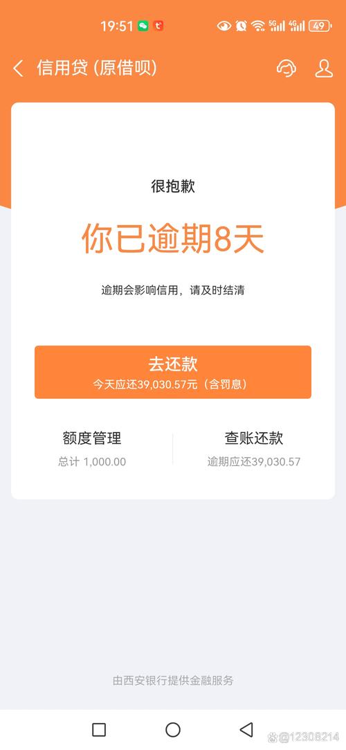 花呗逾期会上央行嘛
