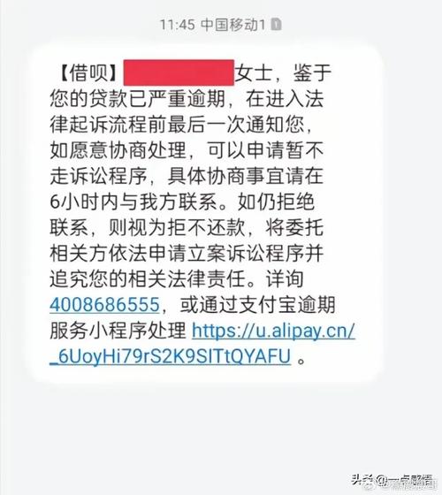 欠借呗被起诉开庭会有什么后果吗？