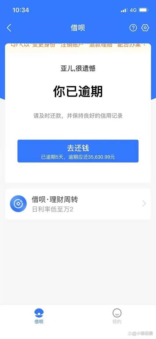 欠借呗被起诉开庭会有什么后果吗？