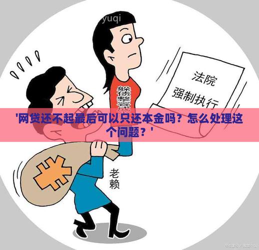 网贷最后能只还本金吗？探讨可能性与风险