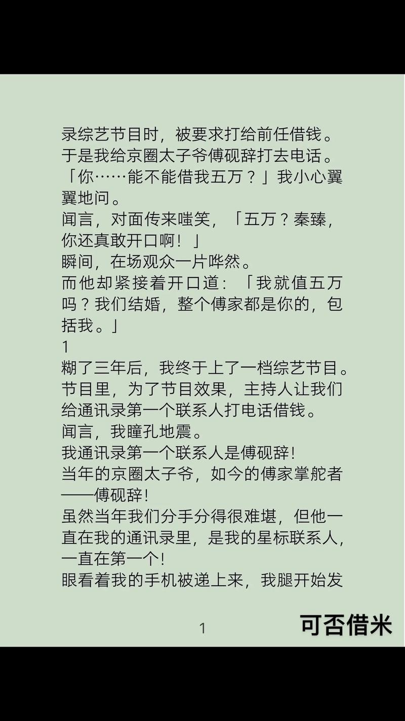 微米花借钱亲身经历的真实故事分享