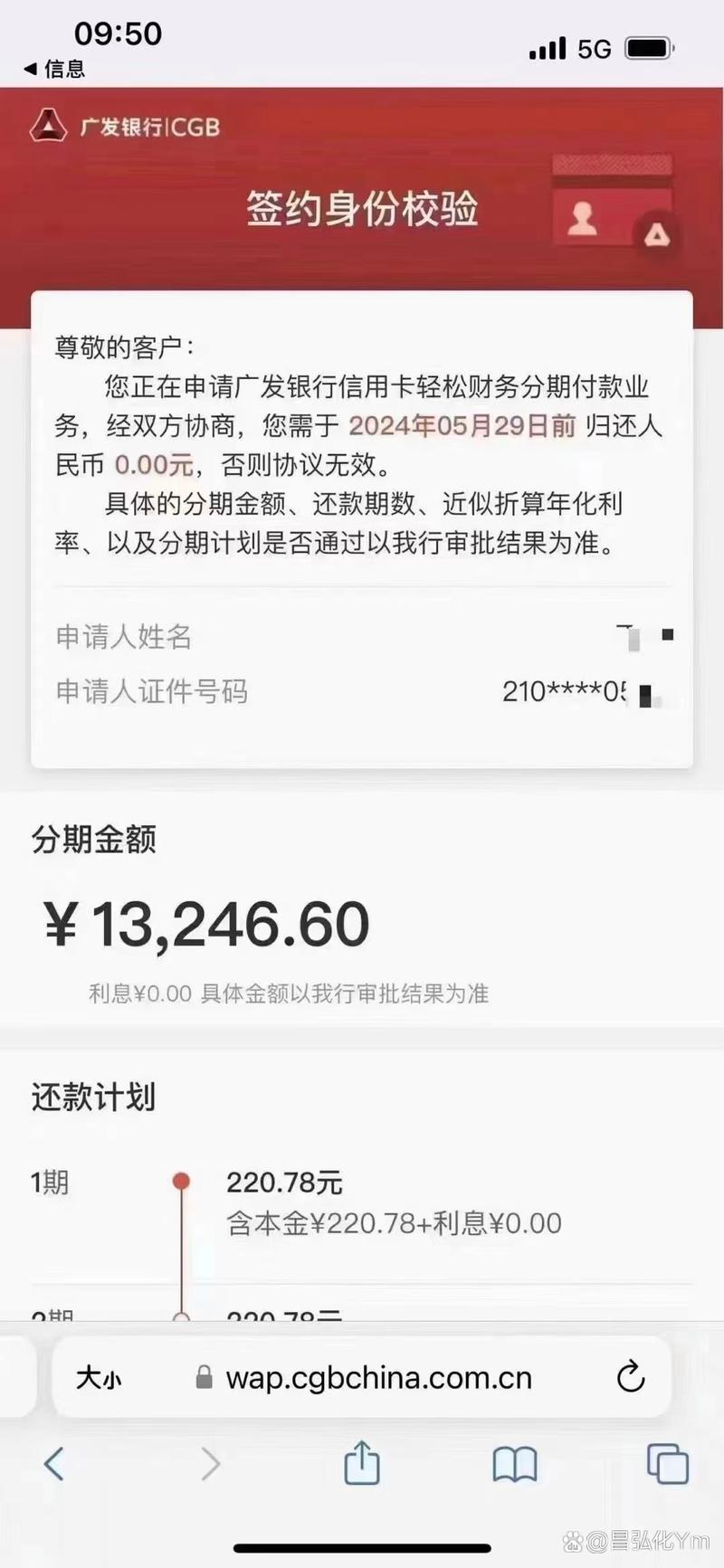 各种网贷信用卡欠46万怎么办？