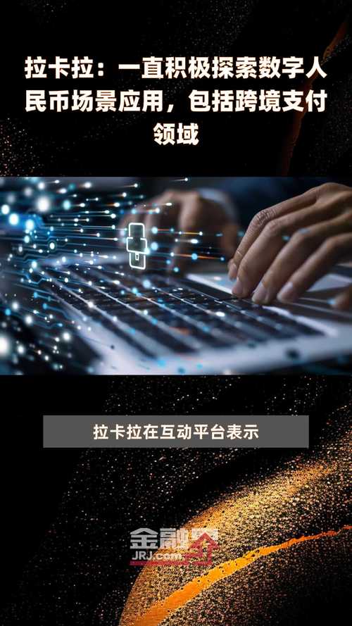 拉卡拉的个人影响有哪些？
