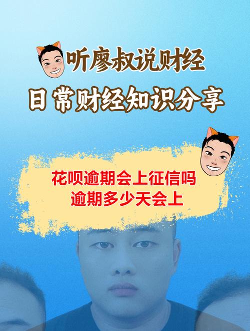 关于花呗逾期的最新政策有哪些新规定