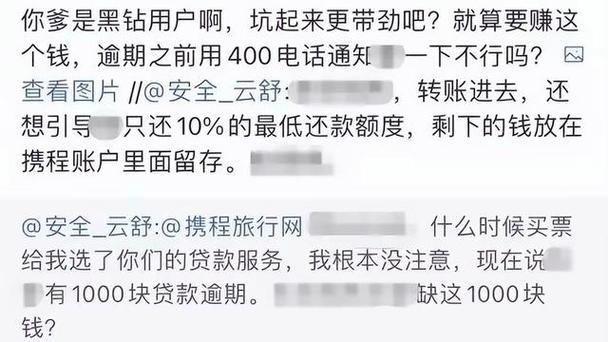 去哪网的拿去花成了呆账后的后果及处理方法