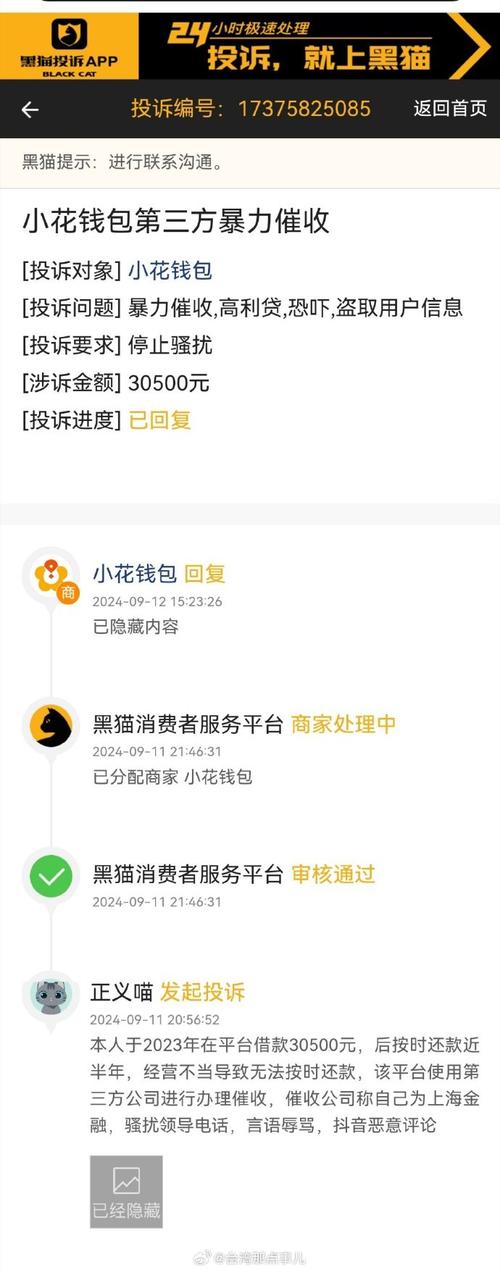东銮金融是哪个平台进行催收的？