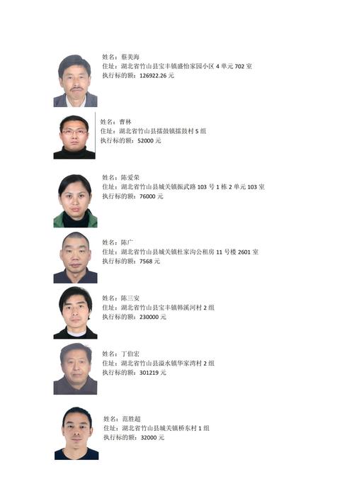 2024全国失信人数有多少