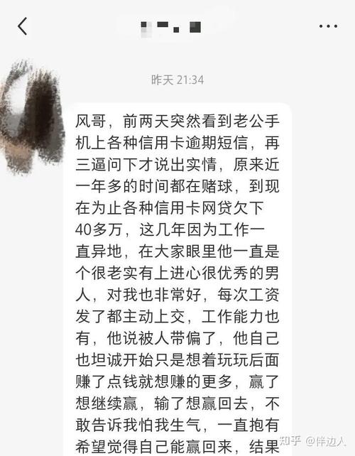 丈夫瞒着我欠网贷十多万怎么办？